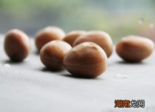 分享:菠萝蜜核的做法 菠萝蜜核可以吃吗