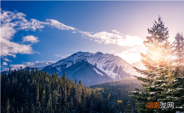 狮子座的4种特征分析 狮子座的人有什么特点和性格