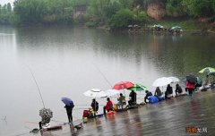 开春钓怎么选钓点中鱼率高 春季钓鱼选择什么位置最好