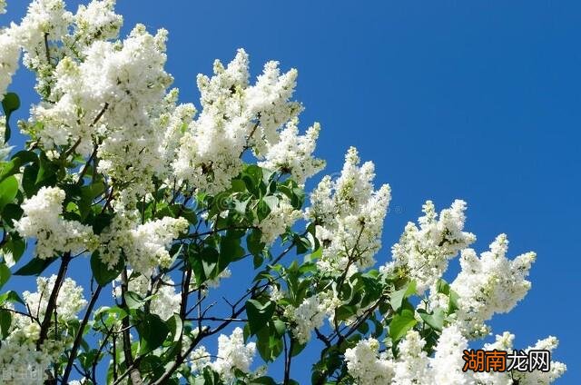 一个人提升自我气质魅力方法 如何提升自己的气质和修养