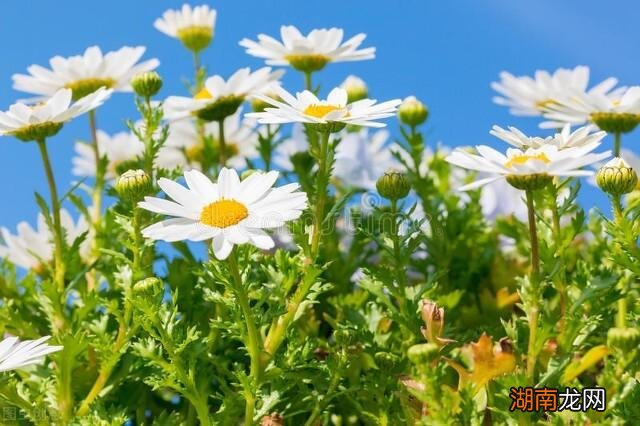 一个人提升自我气质魅力方法 如何提升自己的气质和修养