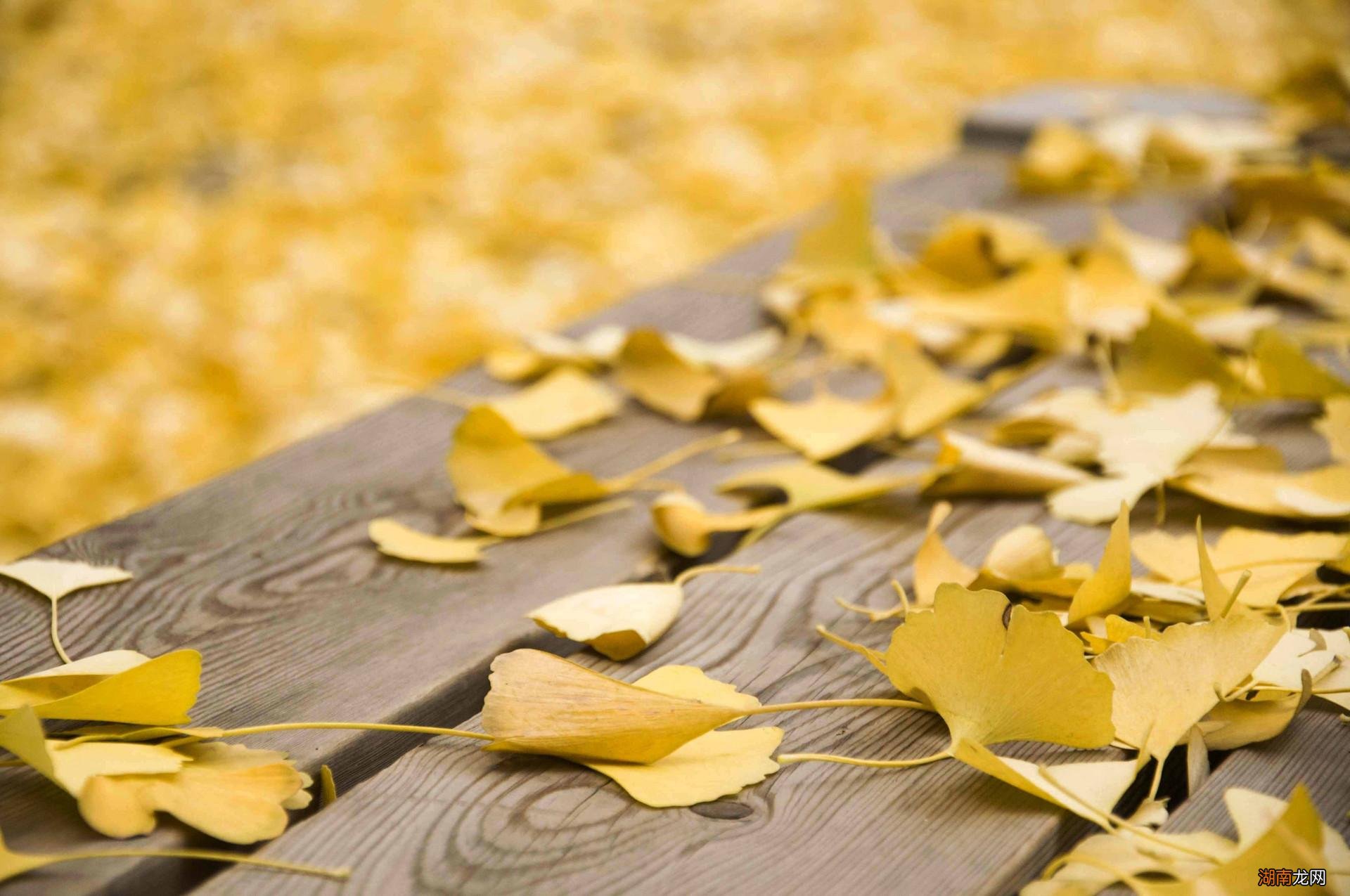 爱而不得才是人生常态吗 爱而不得的人上辈子是什么关系