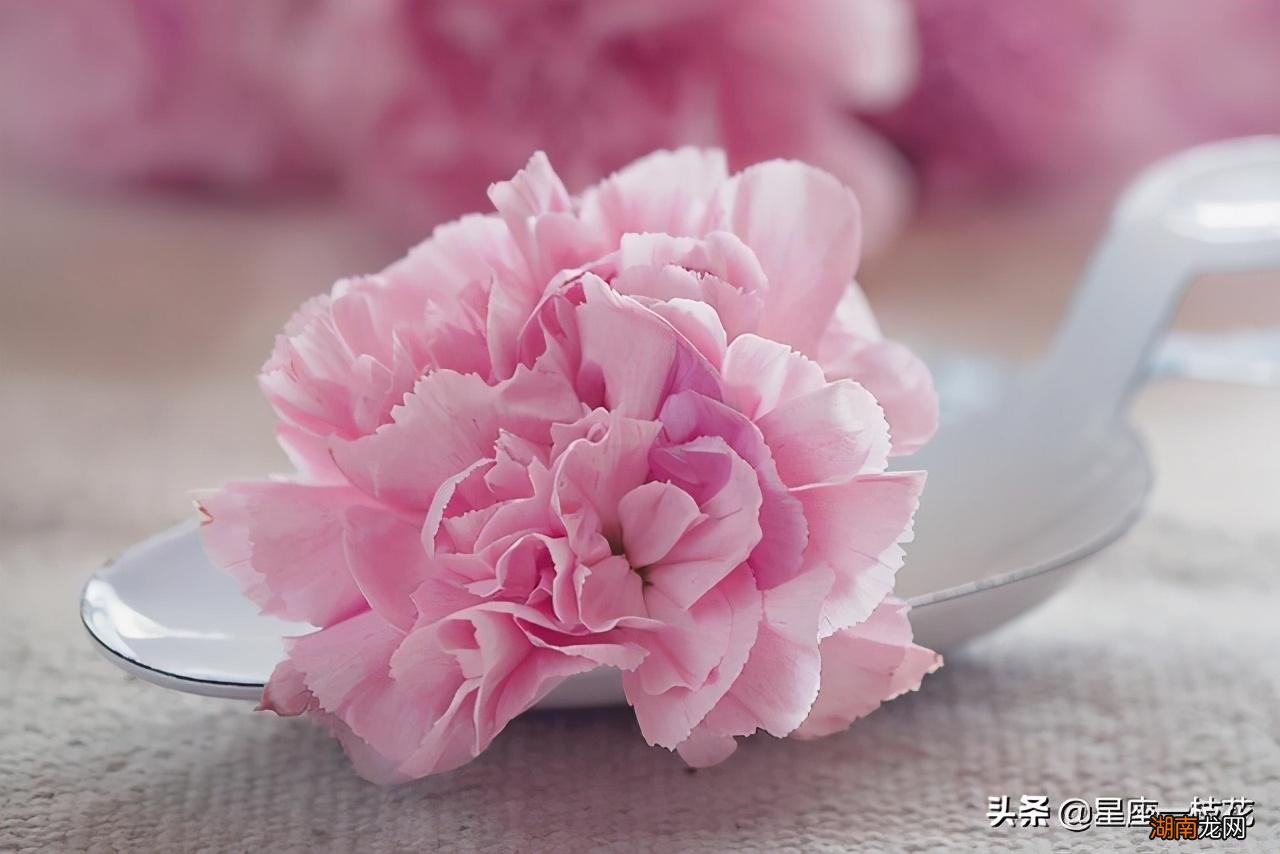 天蝎男在爱情里的弱点分析 天蝎男的爱情软肋在哪