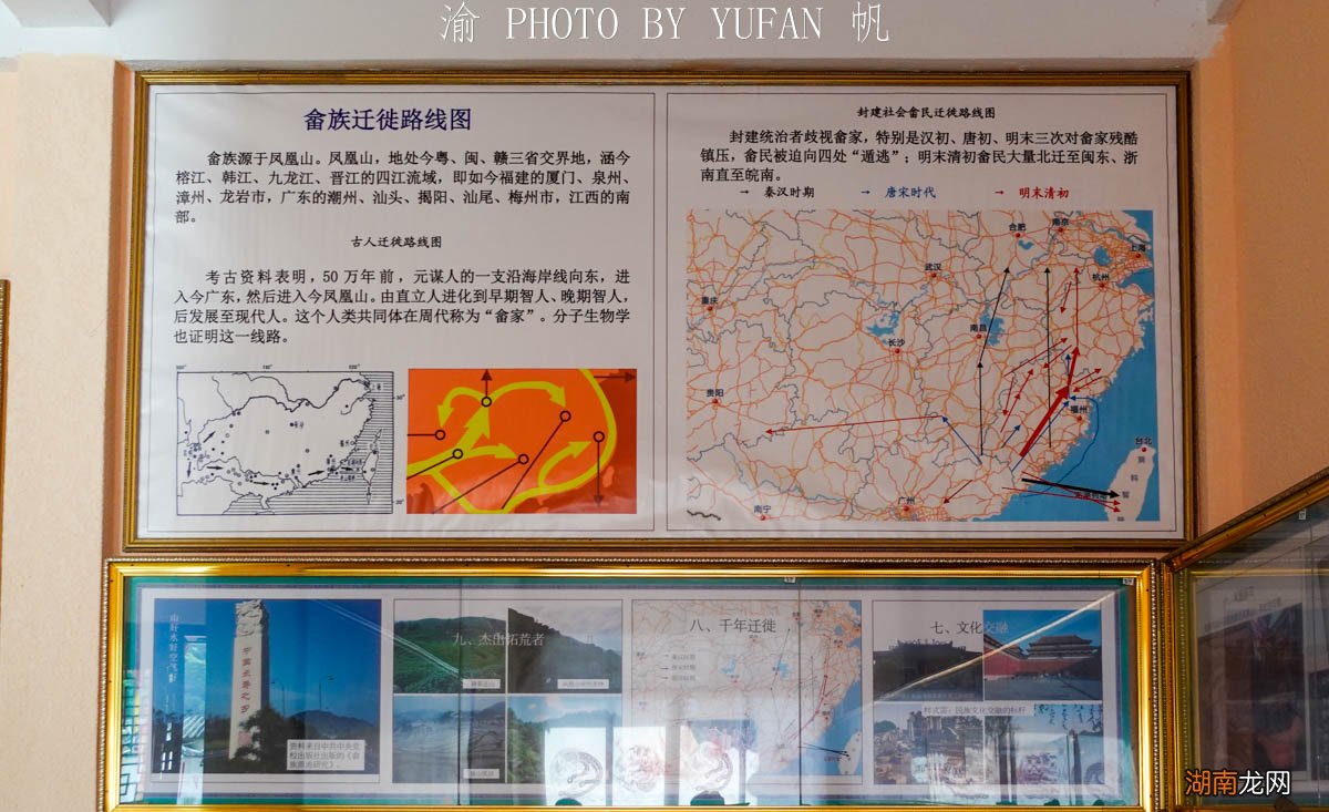 全国畲族主要集中在哪些地区 畲族主要分布在什么地方