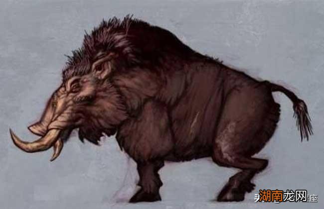 十二星座的守护神兽长什么样子 巨蟹座的守护神兽图片