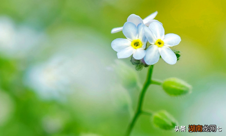 驾驭天蝎的三个星座各个是狠人 能治得住天蝎座的星座