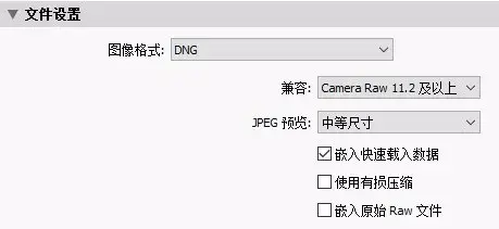 DNG格式解决索尼相机的硬盘 dng是什么格式文件