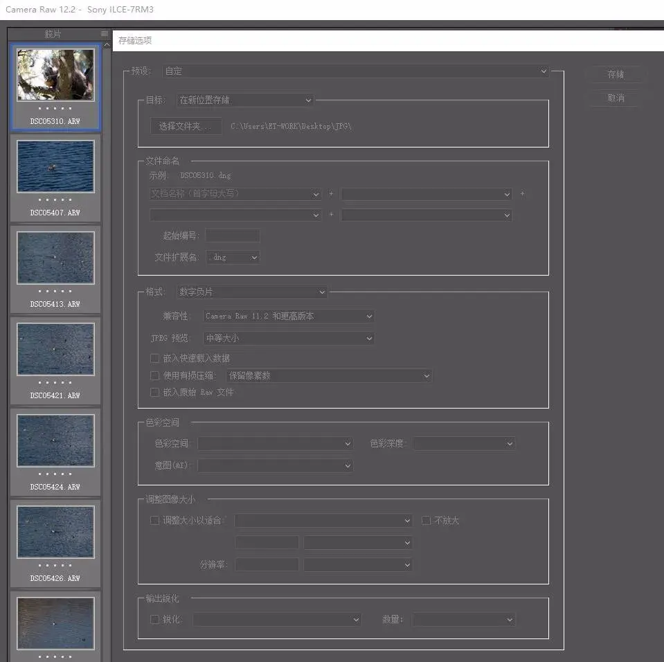 DNG格式解决索尼相机的硬盘 dng是什么格式文件