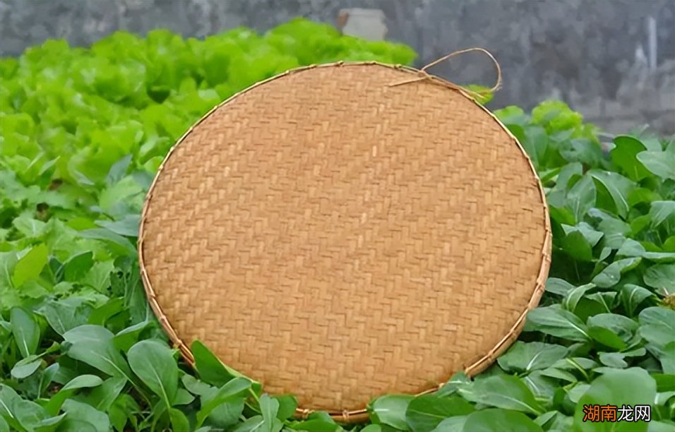 簸箕有一共有几种含义说法 簸箕是什么东西长什么样