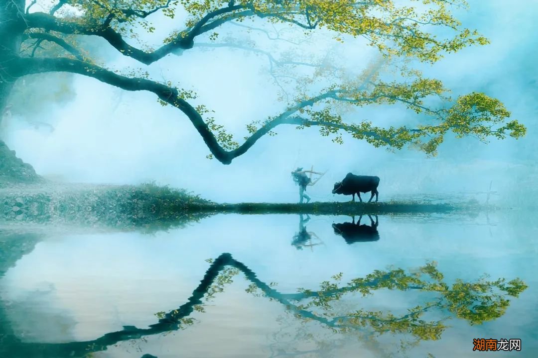 中国经典描写田园的诗词十首 古代最美的十首田园诗