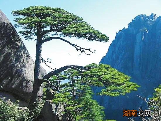 世界文化与自然遗产黄山风景区介绍 黄山的历史文化简介