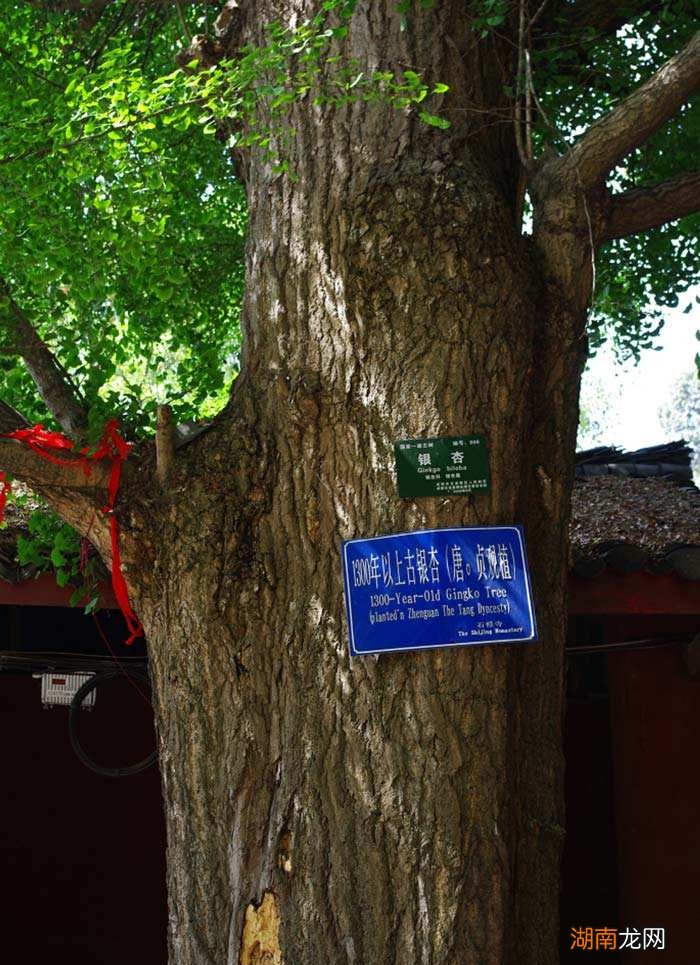 成都龙泉石经寺求姻缘求子灵不灵 石经寺求什么最灵验