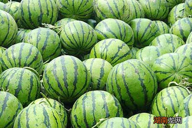 西瓜没开能放冰箱几天时间 西瓜没开能放多久不坏