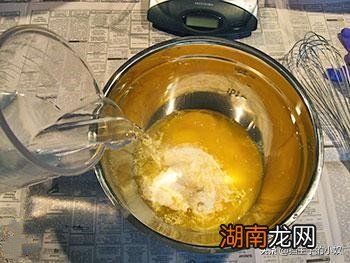 便宜又营养的自制猫饭怎么做 猫饭可以代替猫粮吗