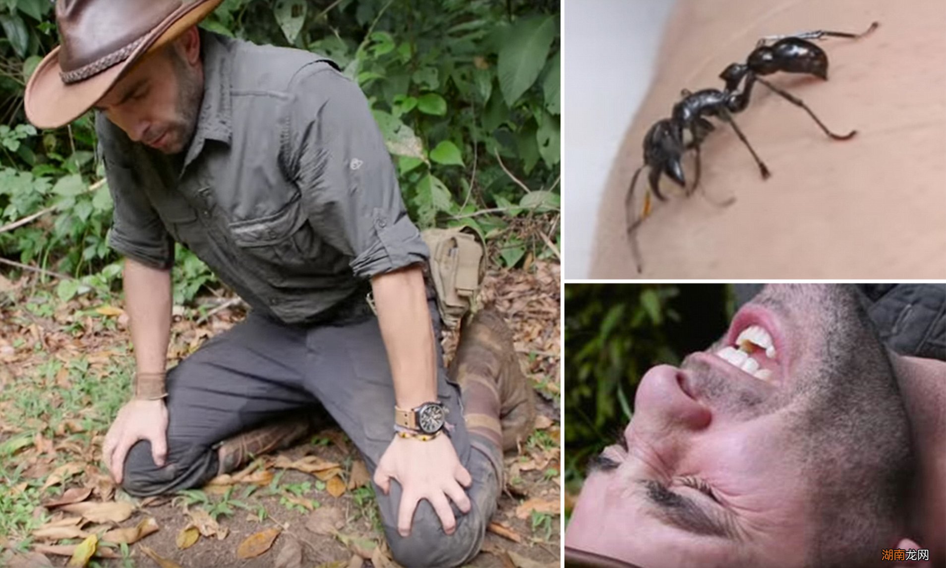 去热带雨林探险会遇到什么危险 热带雨林有什么危险