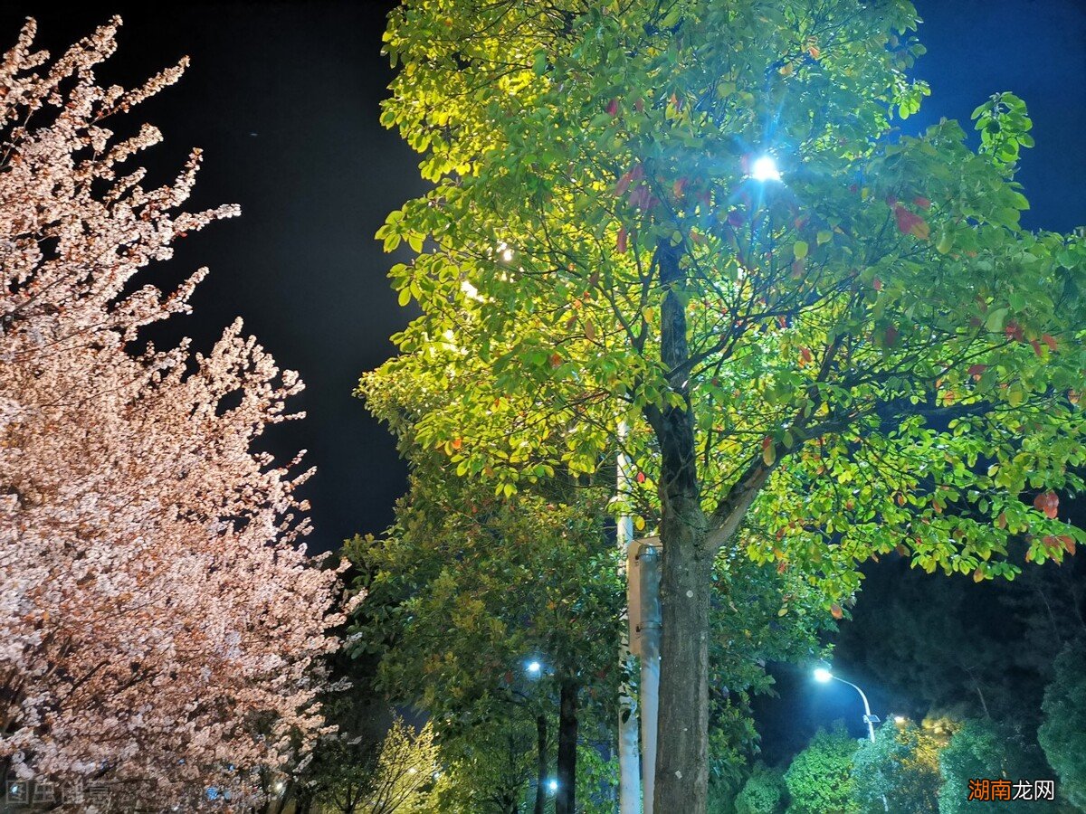 电影郑薇最后和谁在一起了 致我们终将逝去的青春结局