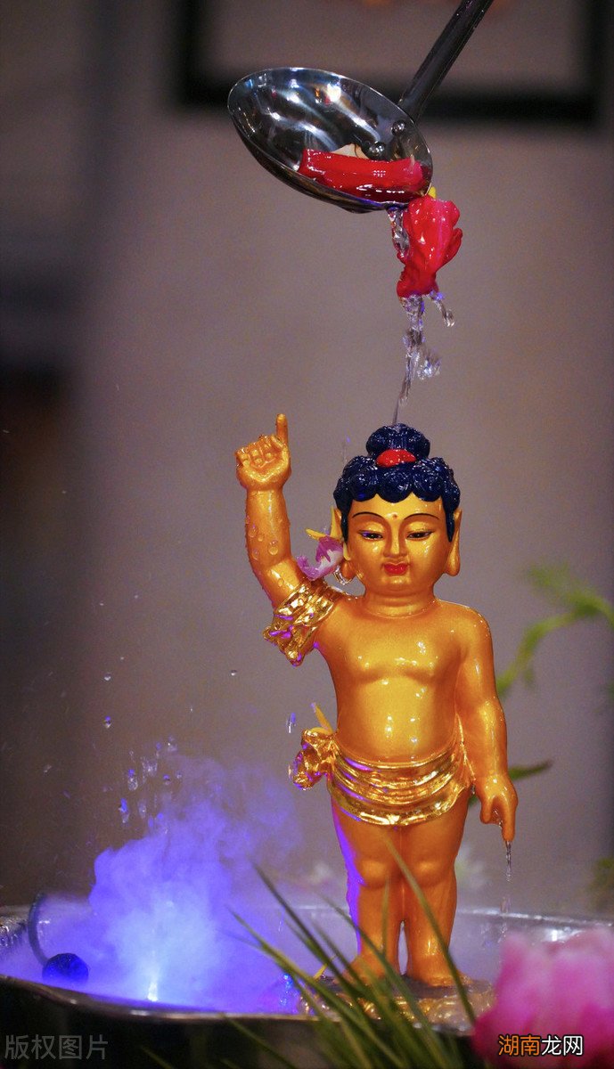 步步生莲的故事和释迦摩尼有关吗 步步生莲典故怎么来的