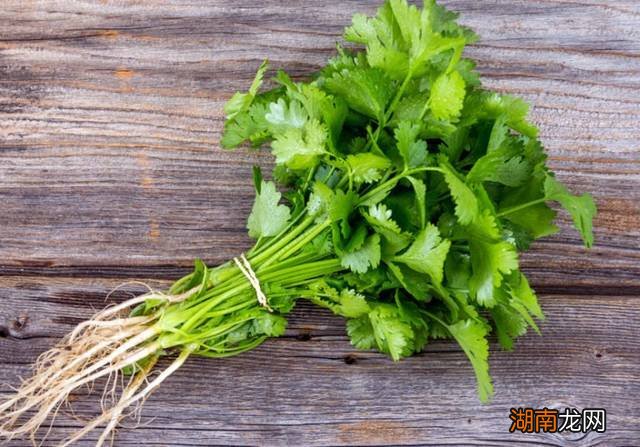 芫荽是什么菜有什么功效