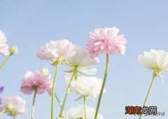 注定和双子座一辈子在一起的人 注定和双子座纠缠的星座