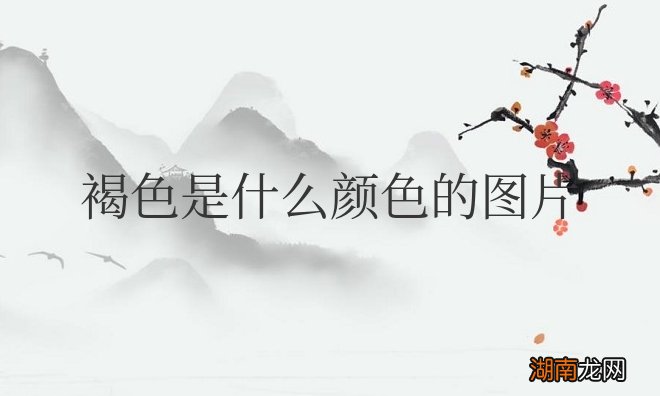 褐色是什么颜色的图片