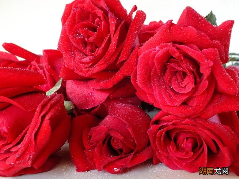 七夕节送女友礼物清单 七夕节送女朋友什么礼物好有仪式感