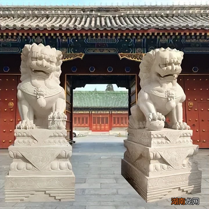 我国陆地上曾经有分布过几个种类狮子 中国有狮子吗