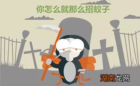 为什么有些体质容易招蚊子