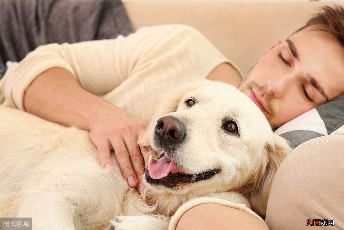 每天夜里小狗总叫唤的原因 狗为什么晚上一直叫个不停