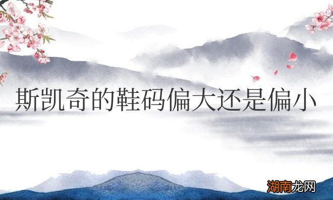 斯凯奇的鞋码偏大还是偏小