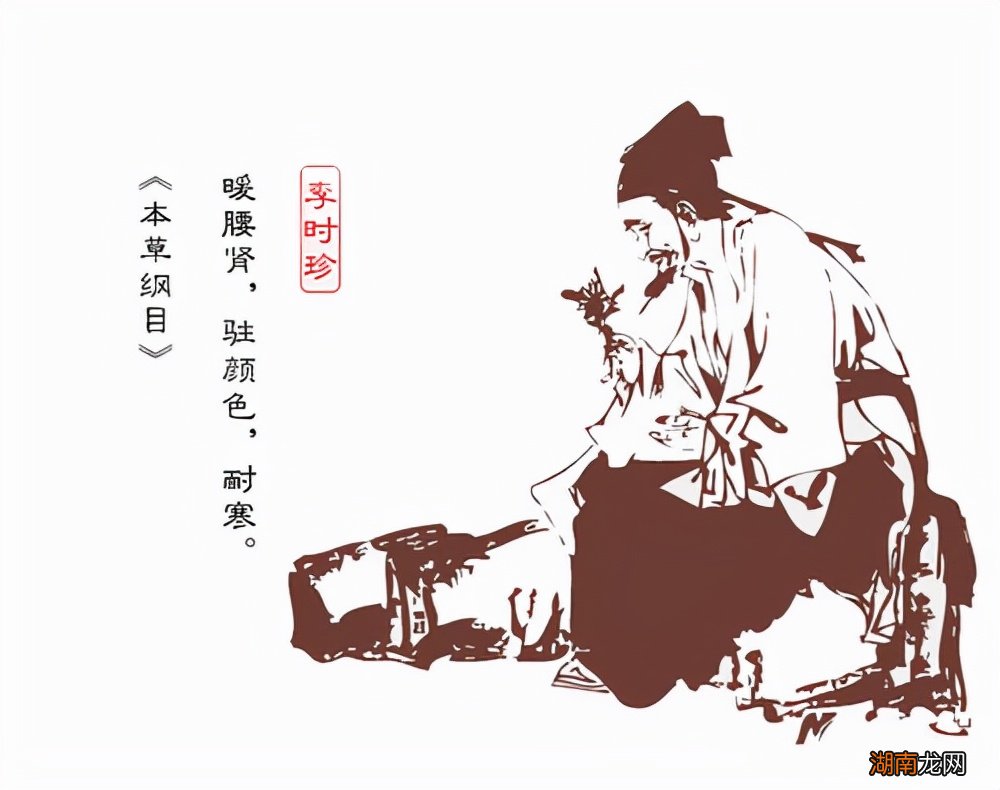 李时珍的生平事迹及主要贡献 李时珍简介及主要事迹