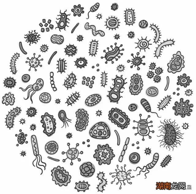 世界十大重大发明或科学发现 人类历史上的重大发现是什么