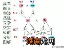 世界十大重大发明或科学发现 人类历史上的重大发现是什么