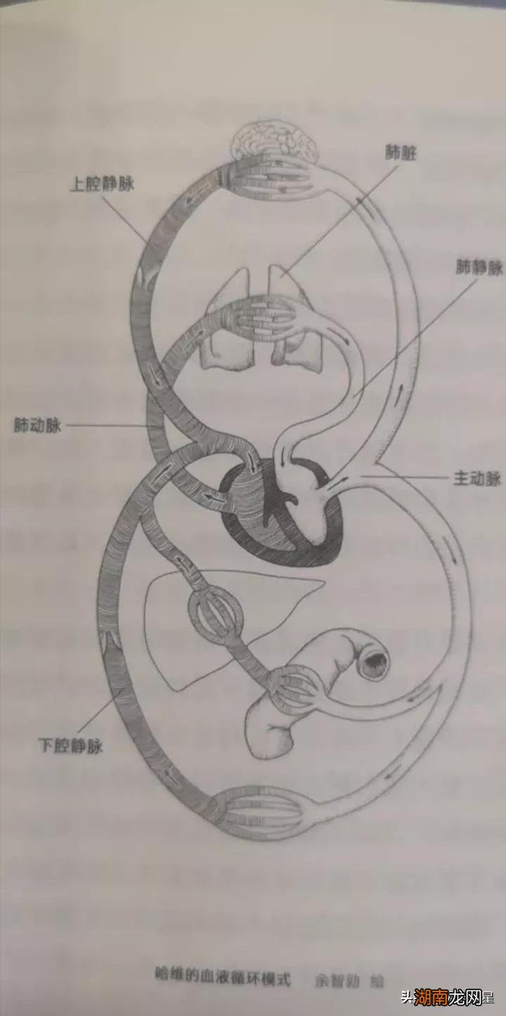 世界十大重大发明或科学发现 人类历史上的重大发现是什么