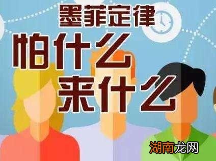 墨菲斯定理:越害怕什么就越会发什么事情