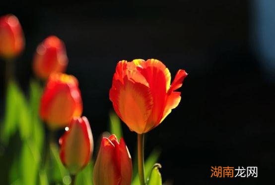 一个心无城府的人有这些特征 心无城府是什么意思啊