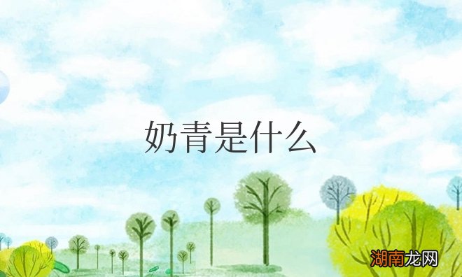 奶青是什么茶味道如何