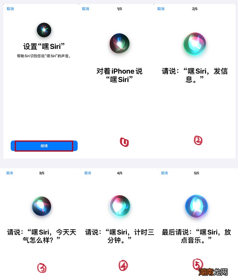苹果手机怎么设置5g网络 苹果手机怎么切换4g和5g