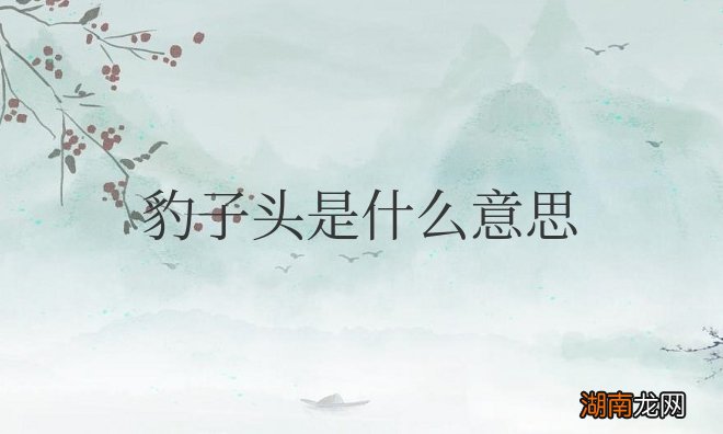 网络用语豹子头是什么意思