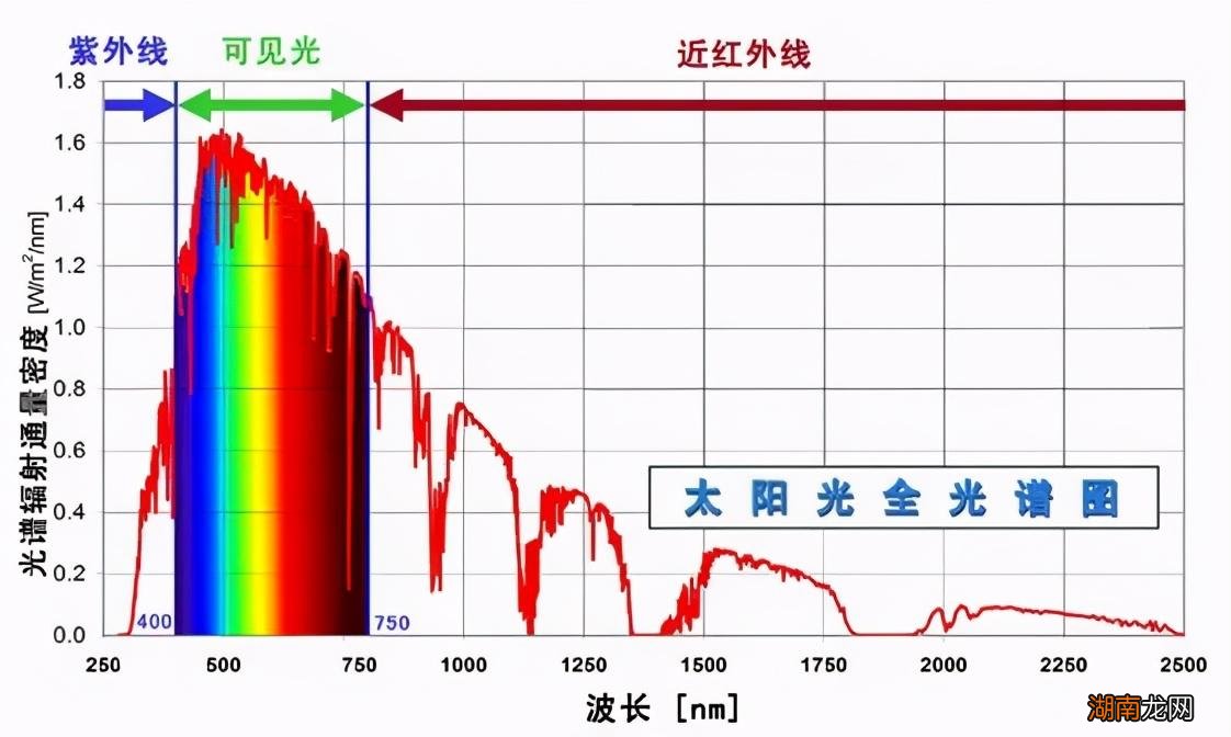 植物喜欢的光线类型 植物最不喜欢什么颜色的光