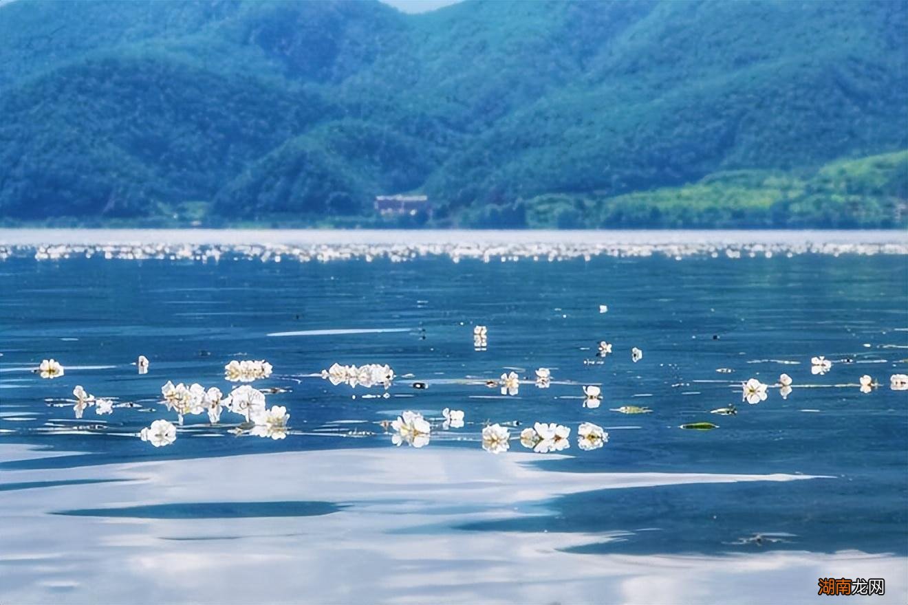 国内值得去的夏日好玩又绝美景点 六七月份适合去哪里旅游