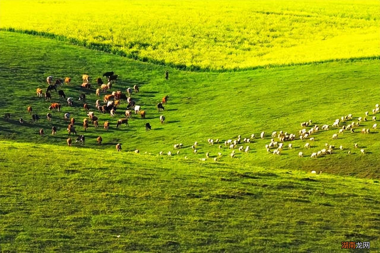 国内值得去的夏日好玩又绝美景点 六七月份适合去哪里旅游