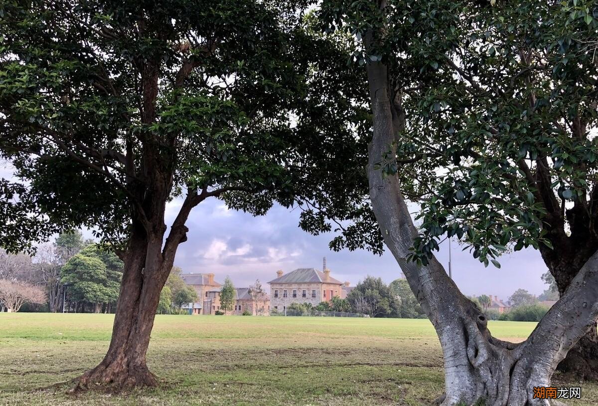 天蝎女与金牛男谁更吸引谁 天蝎金牛为啥是孽缘