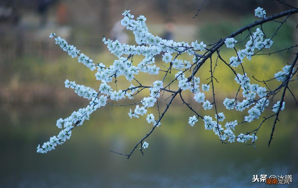 是金牛座、处女座和摩羯座的特点 土象星座哪三个