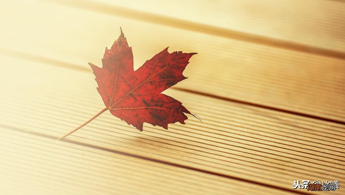 是金牛座、处女座和摩羯座的特点 土象星座哪三个