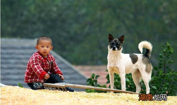 留守对孩子产生的影响可不小 留守儿童什么意思