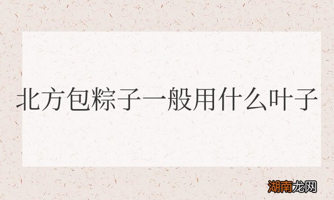 北方包粽子一般用什么叶子