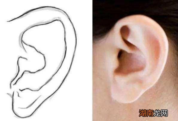 耳薄如纸，苦得要命这句话有依据吗 耳垂薄的人没有福气吗