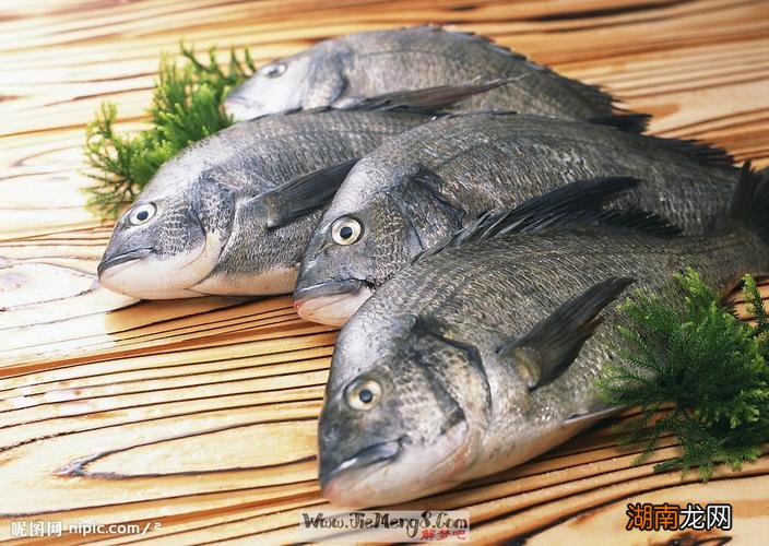 梦见吃鱼是什么预兆男性解梦