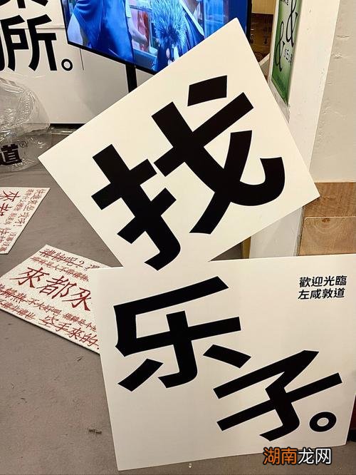 乐子什么意思网络用语求回答