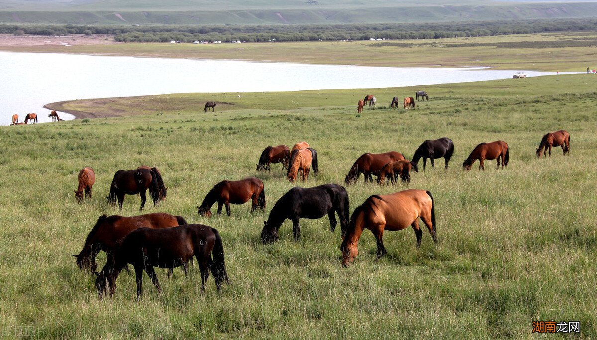 平凡的世界中金波的人物形象特点 平凡的世界金波的结局